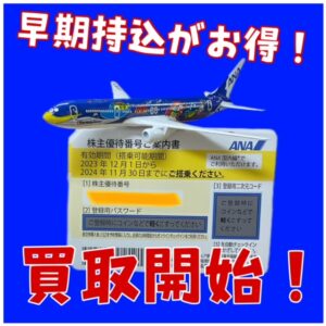 ANA株主優待券（全日空） イエローの券！ 有効期限2024年11月30日まで